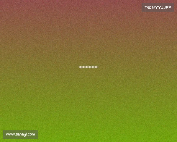 荣誉墙：人生奋斗的光辉岁月