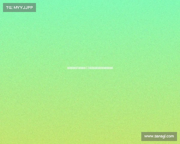 桑德兰夏窗第8笔引援签下22岁门将罗埃夫斯助力球队新赛季布局